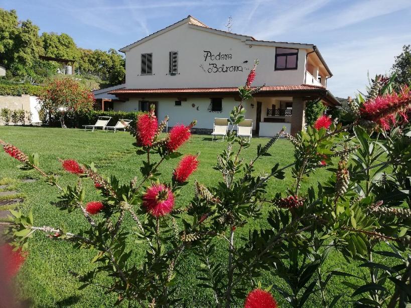 Agriturismo Diaccia Botrona 卡斯蒂里昂纳·德拉佩 外观 照片
