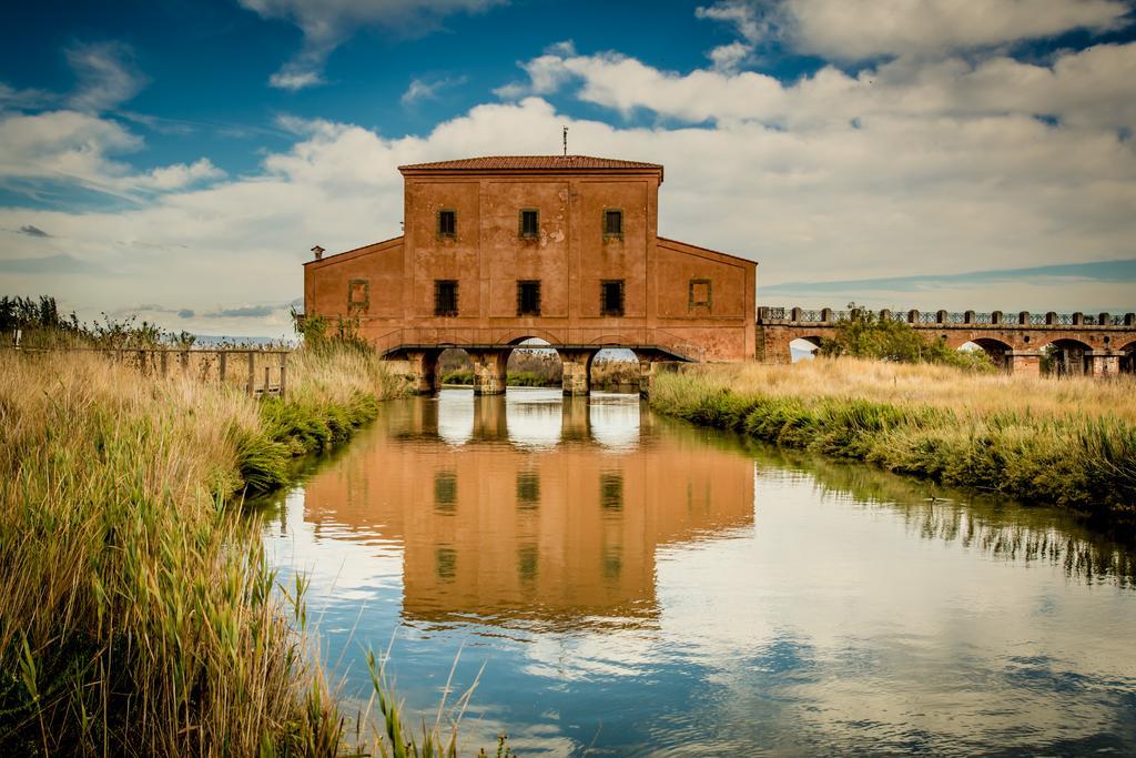 Agriturismo Diaccia Botrona 卡斯蒂里昂纳·德拉佩 外观 照片