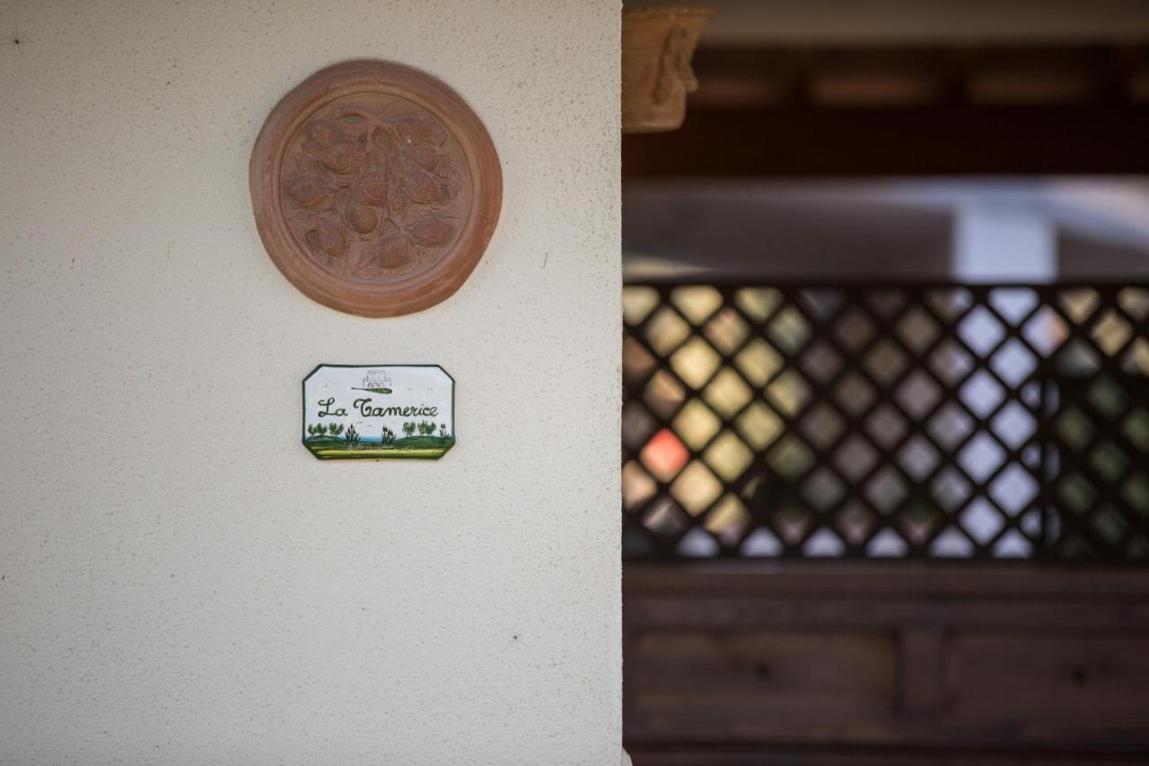 Agriturismo Diaccia Botrona 卡斯蒂里昂纳·德拉佩 外观 照片