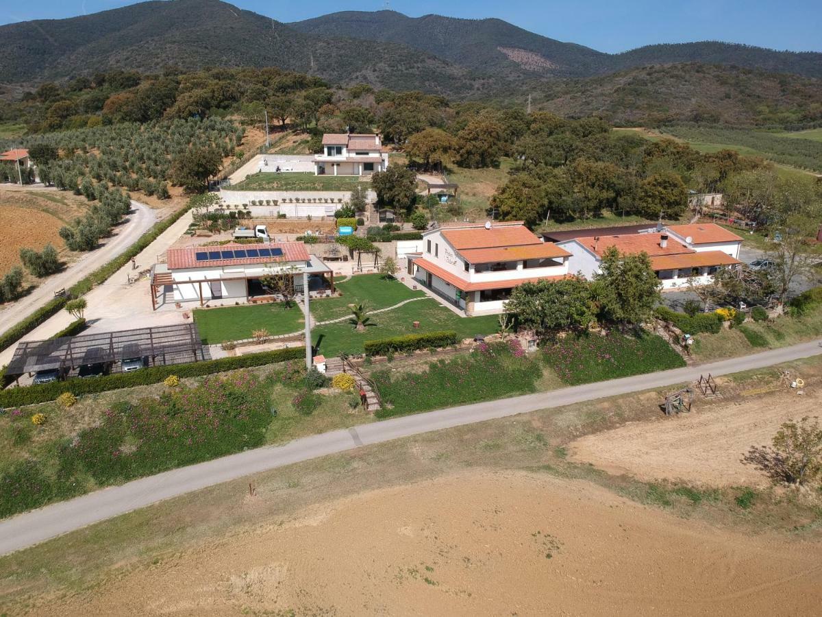 Agriturismo Diaccia Botrona 卡斯蒂里昂纳·德拉佩 外观 照片