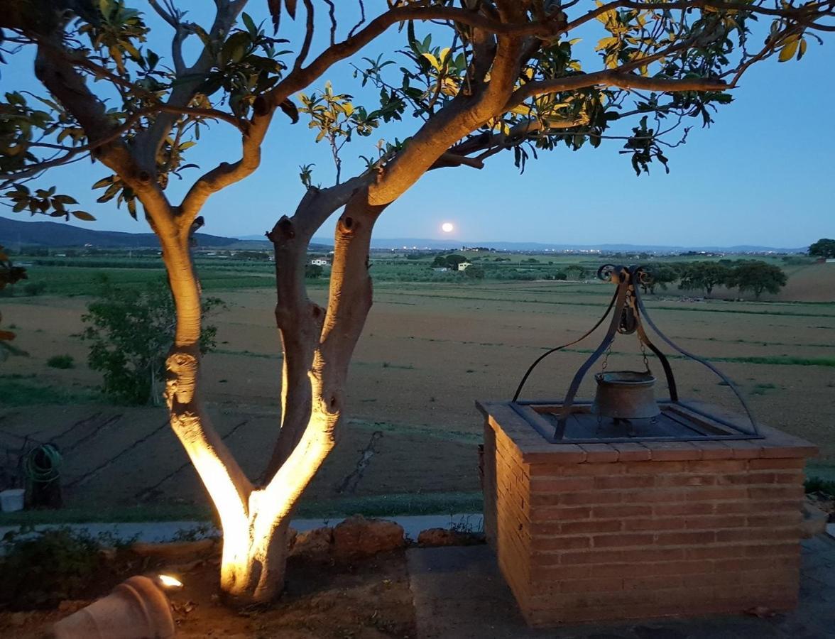 Agriturismo Diaccia Botrona 卡斯蒂里昂纳·德拉佩 外观 照片