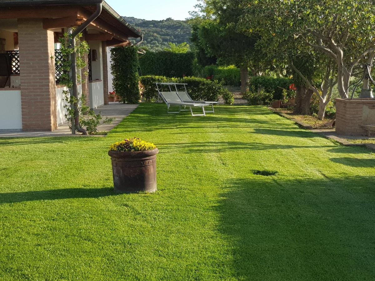 Agriturismo Diaccia Botrona 卡斯蒂里昂纳·德拉佩 外观 照片