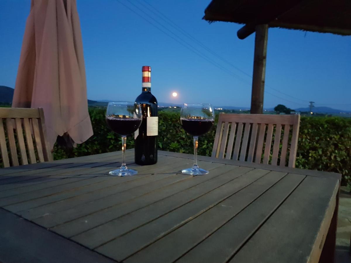 Agriturismo Diaccia Botrona 卡斯蒂里昂纳·德拉佩 外观 照片
