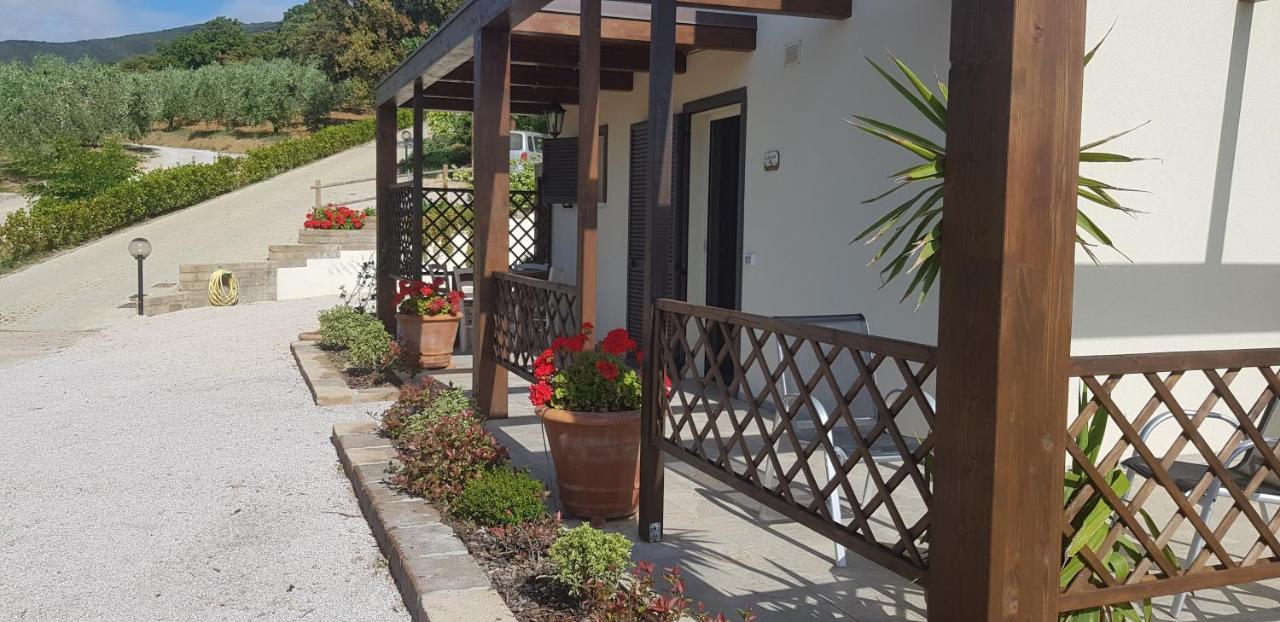 Agriturismo Diaccia Botrona 卡斯蒂里昂纳·德拉佩 外观 照片